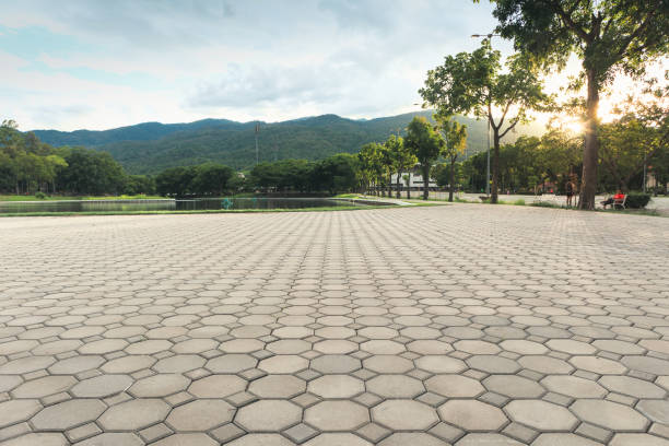 Best Concrete Paver Driveway  in Macon, GA
